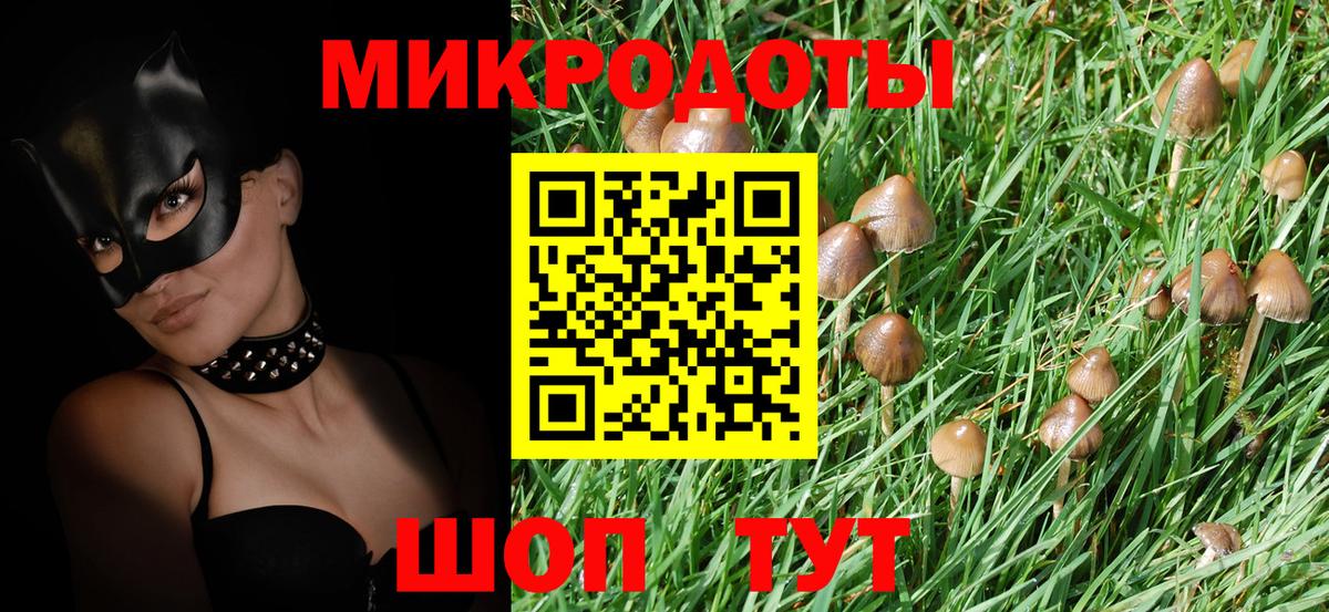 купить закладку  Галлюциногенные грибы Psilocybine cubensis  Вход с VPN  Златоуст 